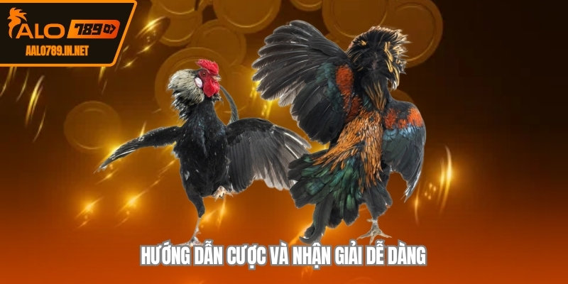 Hướng dẫn cược và nhận giải dễ dàng