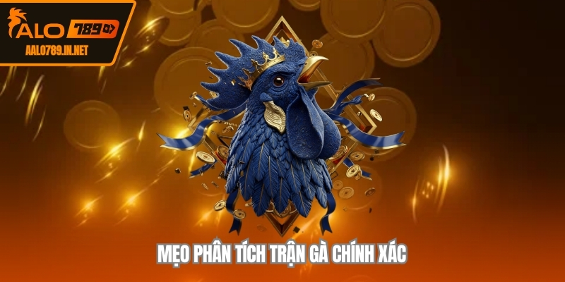 Mẹo phân tích trận gà chính xác