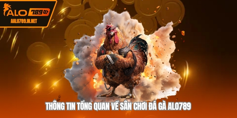Thông tin tổng quan về sân chơi đá gà ALO789