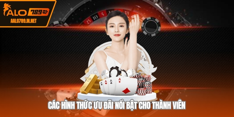 Các hình thức ưu đãi nổi bật cho thành viên