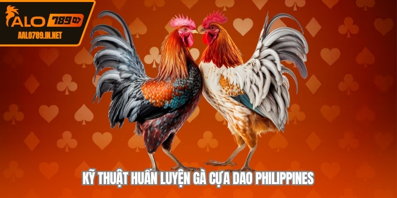 Kỹ thuật huấn luyện gà cựa dao Philippines