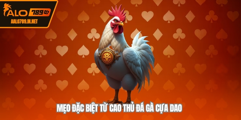 Mẹo đặc biệt từ cao thủ đá gà cựa dao 