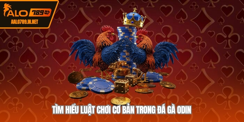 Tìm hiểu luật chơi cơ bản trong đá gà Odin