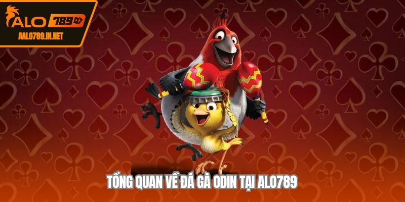 Tổng quan về đá gà Odin tại ALO789