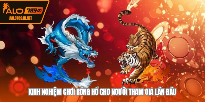 Kinh nghiệm chơi rồng hổ cho người tham gia lần đầu