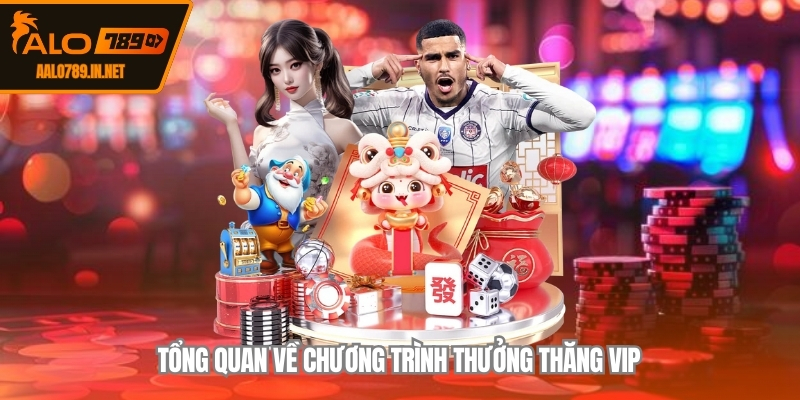 Tổng quan về chương trình thưởng thăng VIP