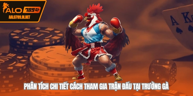 Phân tích chi tiết cách tham gia trận đấu tại trường gà